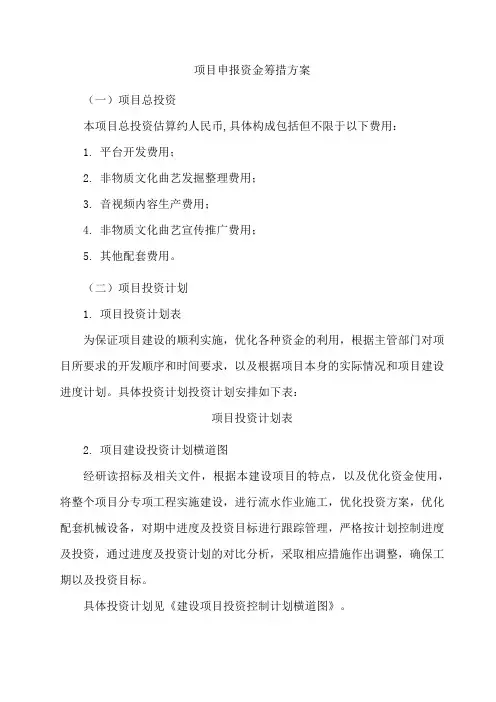 项目申报资金筹措方案