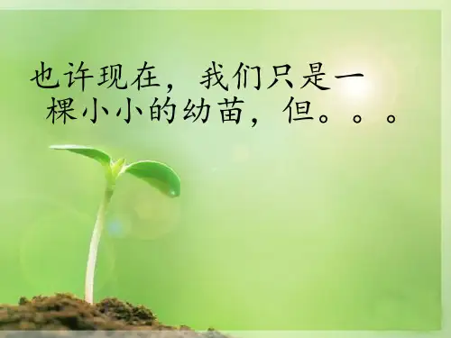 学业规划ppt