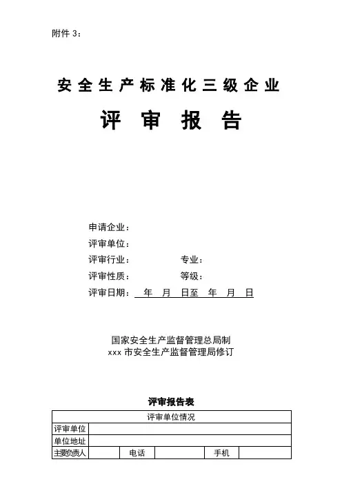 2020年 安全生产标准化三级企业-评审报告-(复审企业用)-三级文件