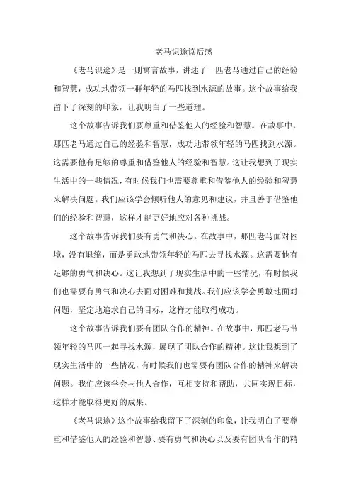 老马识途读后感