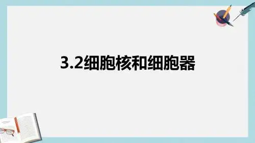 沪科版高中生命科学第一册3.2《细胞核和细胞器》ppt课件1