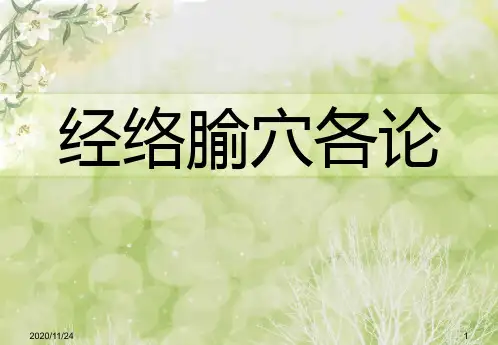 阳跷脉阴跷脉 ppt课件