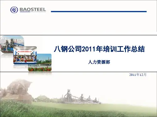 2011年培训总结3.19