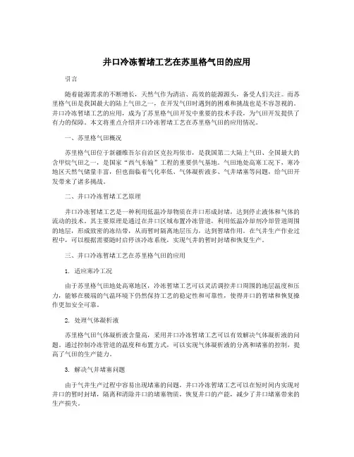 井口冷冻暂堵工艺在苏里格气田的应用