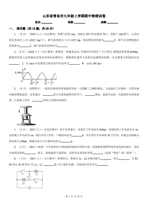 山东省青岛市九年级上学期期中物理试卷