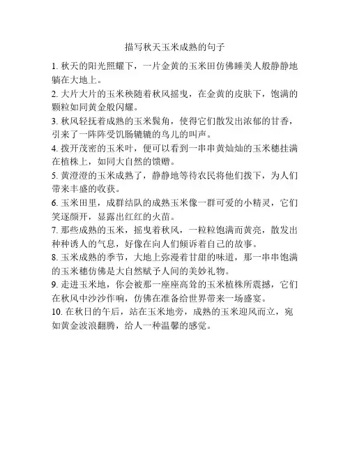 描写秋天玉米成熟的句子