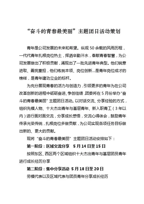 “奋斗的青春最美丽”主题团日活动策划11