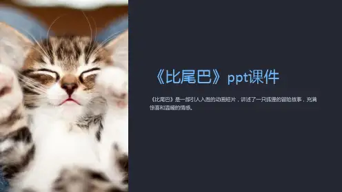 《比尾巴》课件