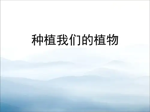 《种植我们的植物》植物的生长变化PPT【优秀课件PPT】
