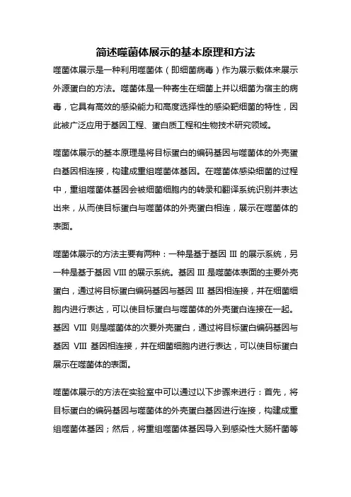 简述噬菌体展示的基本原理和方法