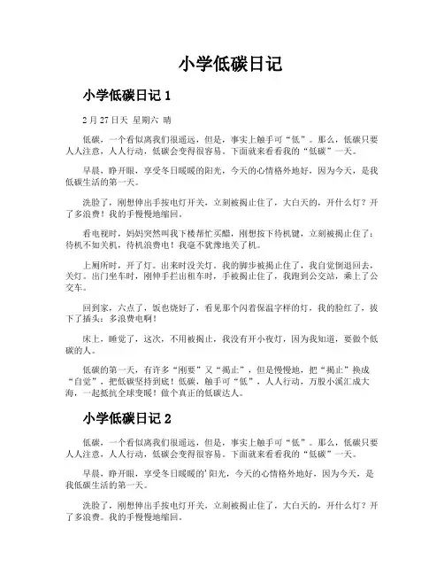 小学低碳日记