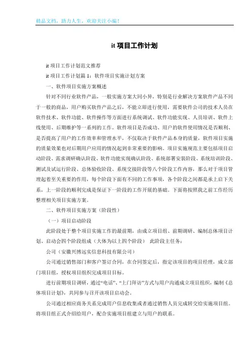 it项目工作计划