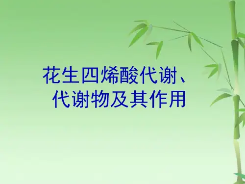花生四烯酸代谢物及其作用(共52张PPT)