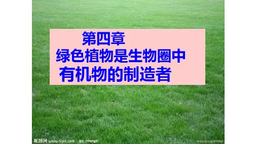 人教版生物《生物圈》优秀课件1