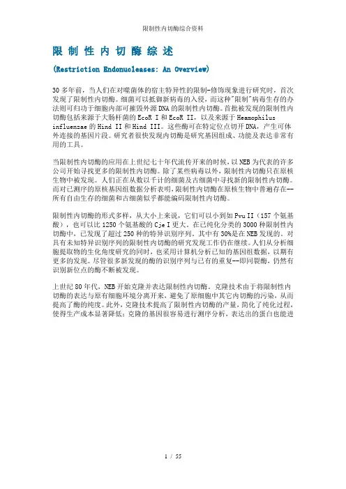 限制性内切酶综合资料