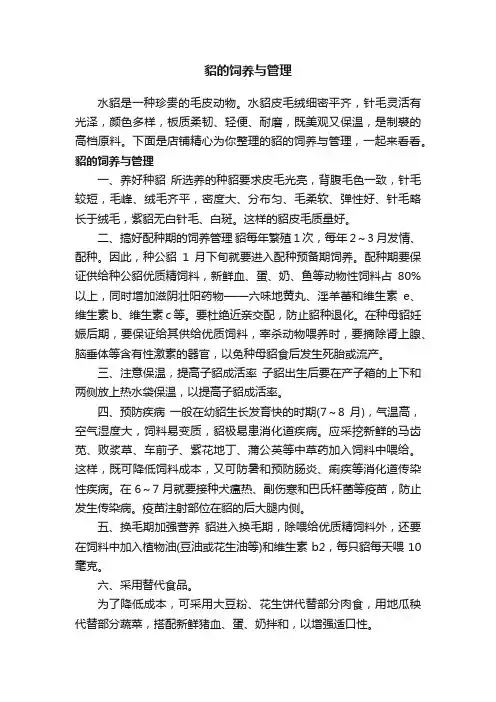 貂的饲养与管理