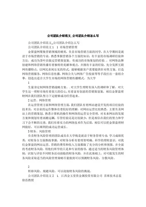 公司团队介绍范文_公司团队介绍怎么写