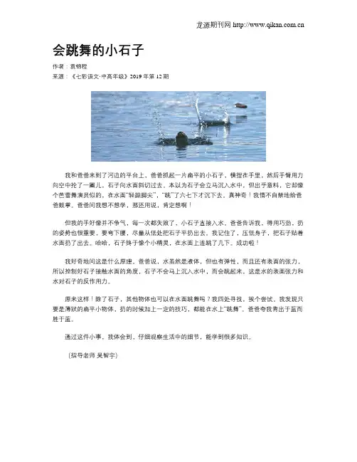 会跳舞的小石子