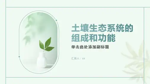 土壤生态系统的组成和功能