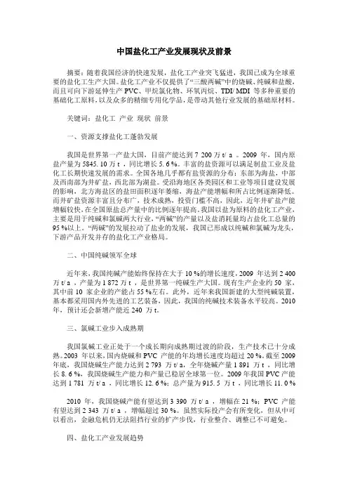 中国盐化工产业发展现状及前景