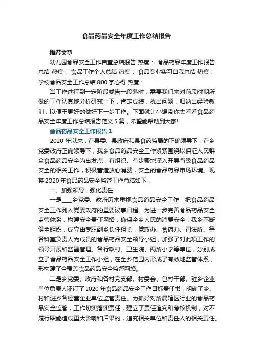 食品药品安全年度工作总结报告范文5篇