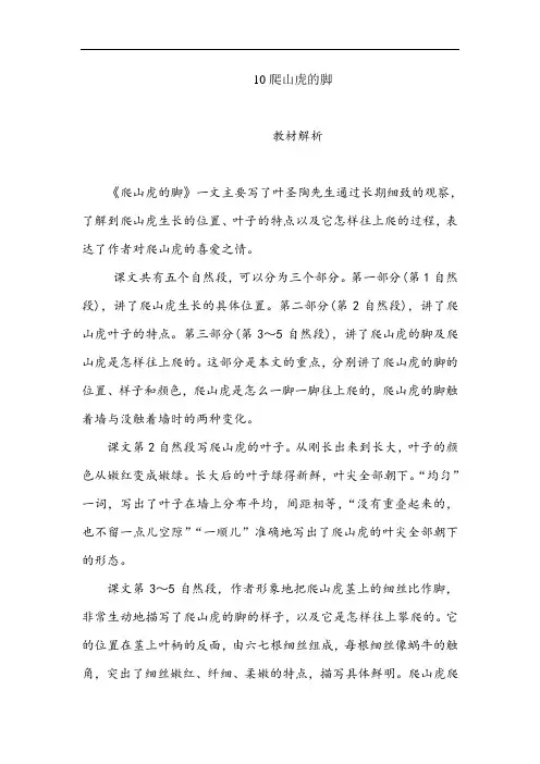 部编版语文四年级上册教师用书10爬山虎的脚