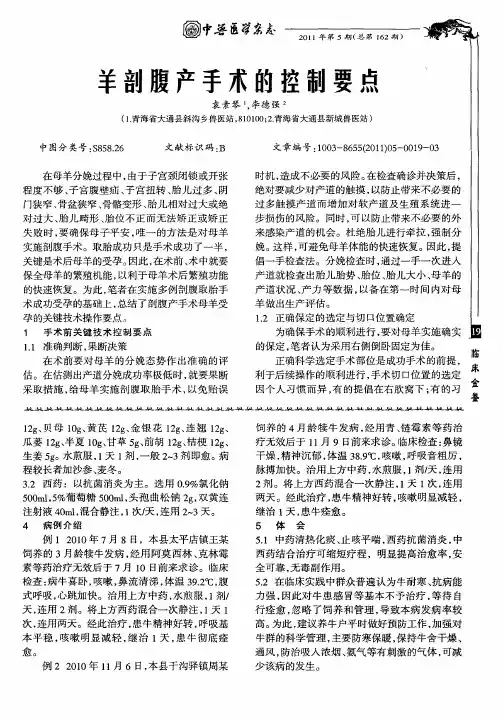 羊剖腹产手术的控制要点