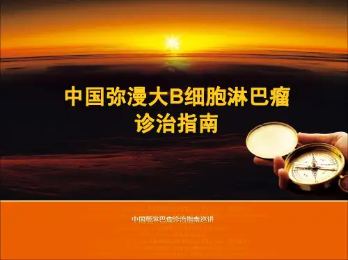 (仅供参考)DLBCL指南