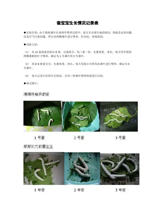 蚕的生长变化情况记录表