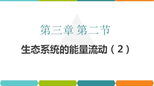 生态系统的能量流动(第二课时)课件-高二生物人教版(2019)选择性必修2