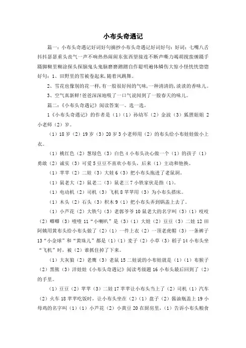最新-小布头奇遇记 精品