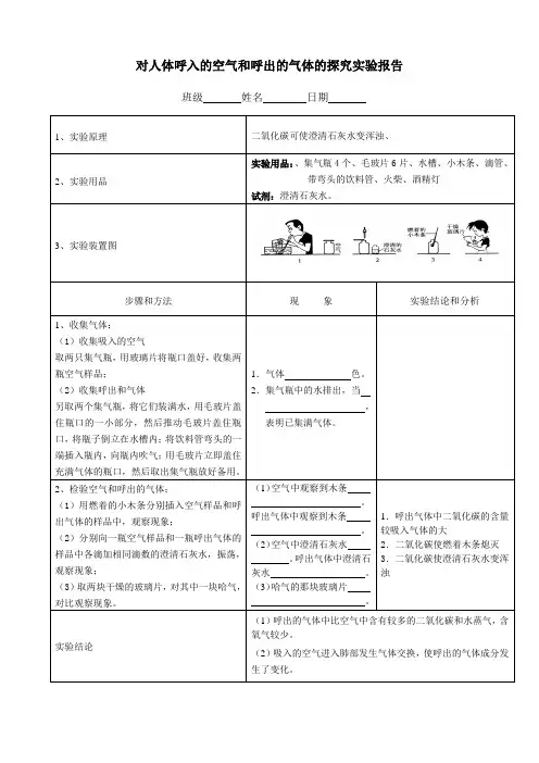 2人体呼吸气体的探究实验报告