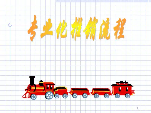 专业化推销流程PPT课件