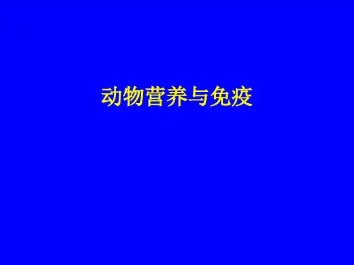 动物营养与免疫ppt课件