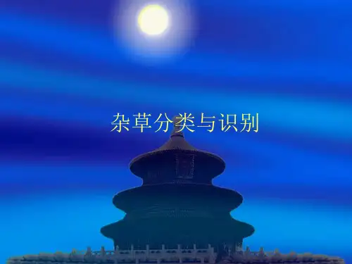 常见杂草分类