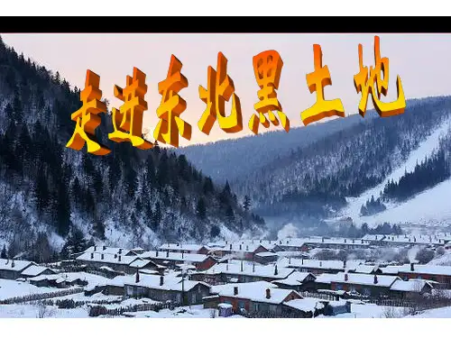 《走进东北黑土地》课件1 