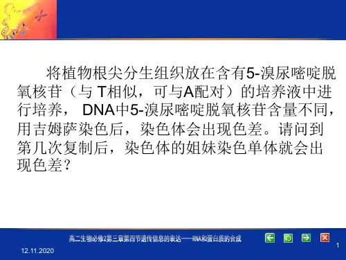 69第4节遗传信息的表达――RNA和蛋白质的合成PPT课件
