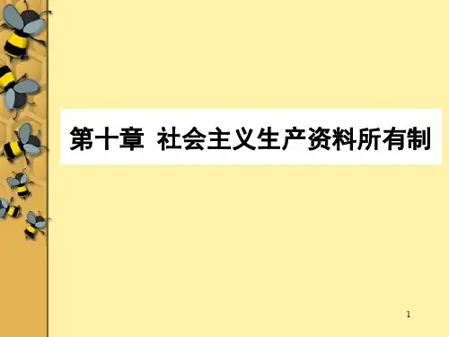第十章 社会主义生产资料所有制图文演示课件.ppt
