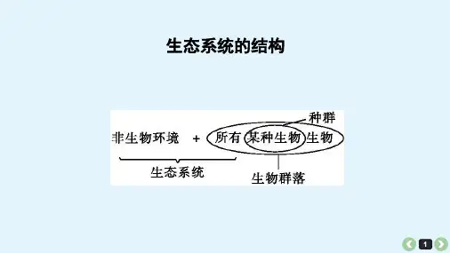 高考生物一轮复习生态系统的结构教学课件