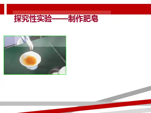 化学实验：自制肥皂.ppt