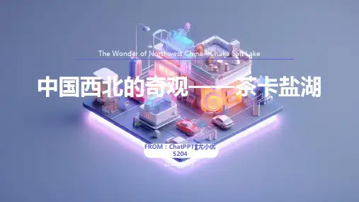 中国西北的奇观---茶卡盐湖