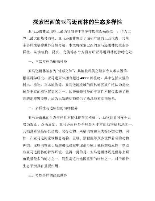 探索巴西的亚马逊雨林的生态多样性