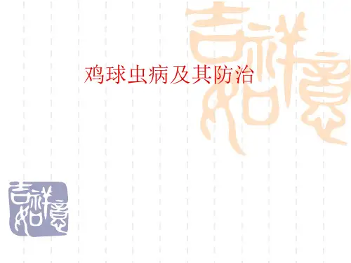 鸡球虫病及其防治ppt课件