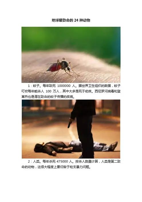 地球最致命的24种动物