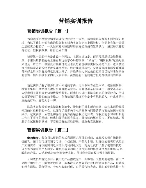 营销实训报告