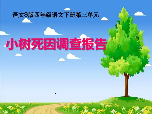 202X语文S版语文四下《小树死因调查报告》ppt课件