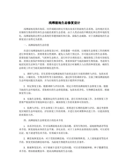 浅滩湿地生态修复设计