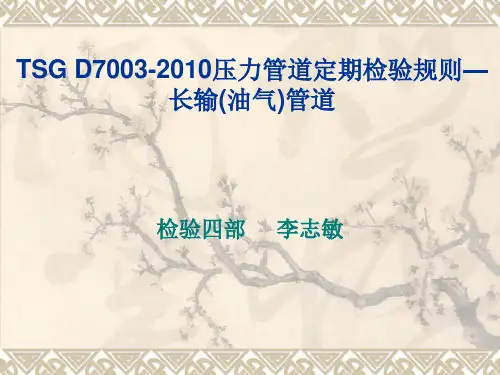 TSG D7003-2010压力管道定期