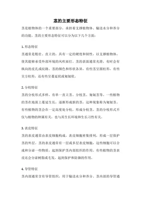 茎的主要形态特征