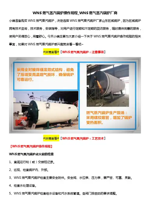 WNS燃气蒸汽锅炉操作规程_WNS燃气蒸汽锅炉厂商